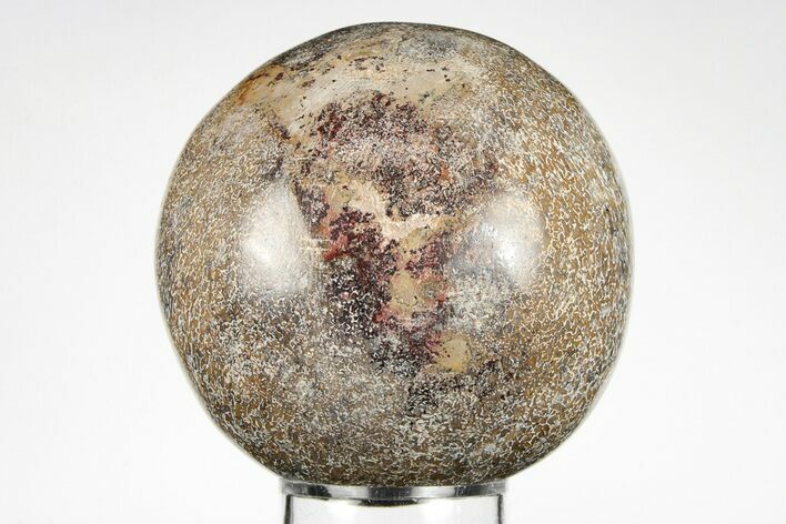 Polished Agatized Dinosaur (Gembone) Sphere - Morocco #198506